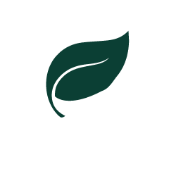Vegan